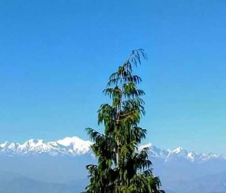 The Mountain View Apartamento Darjeeling  Exterior foto
