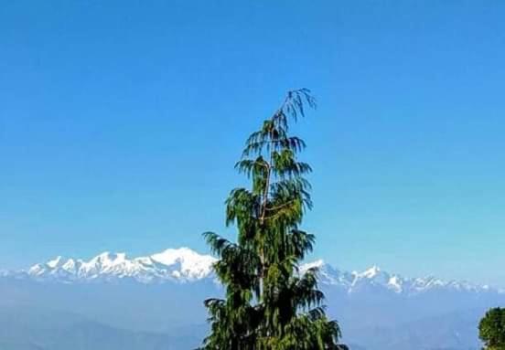 The Mountain View Apartamento Darjeeling  Exterior foto